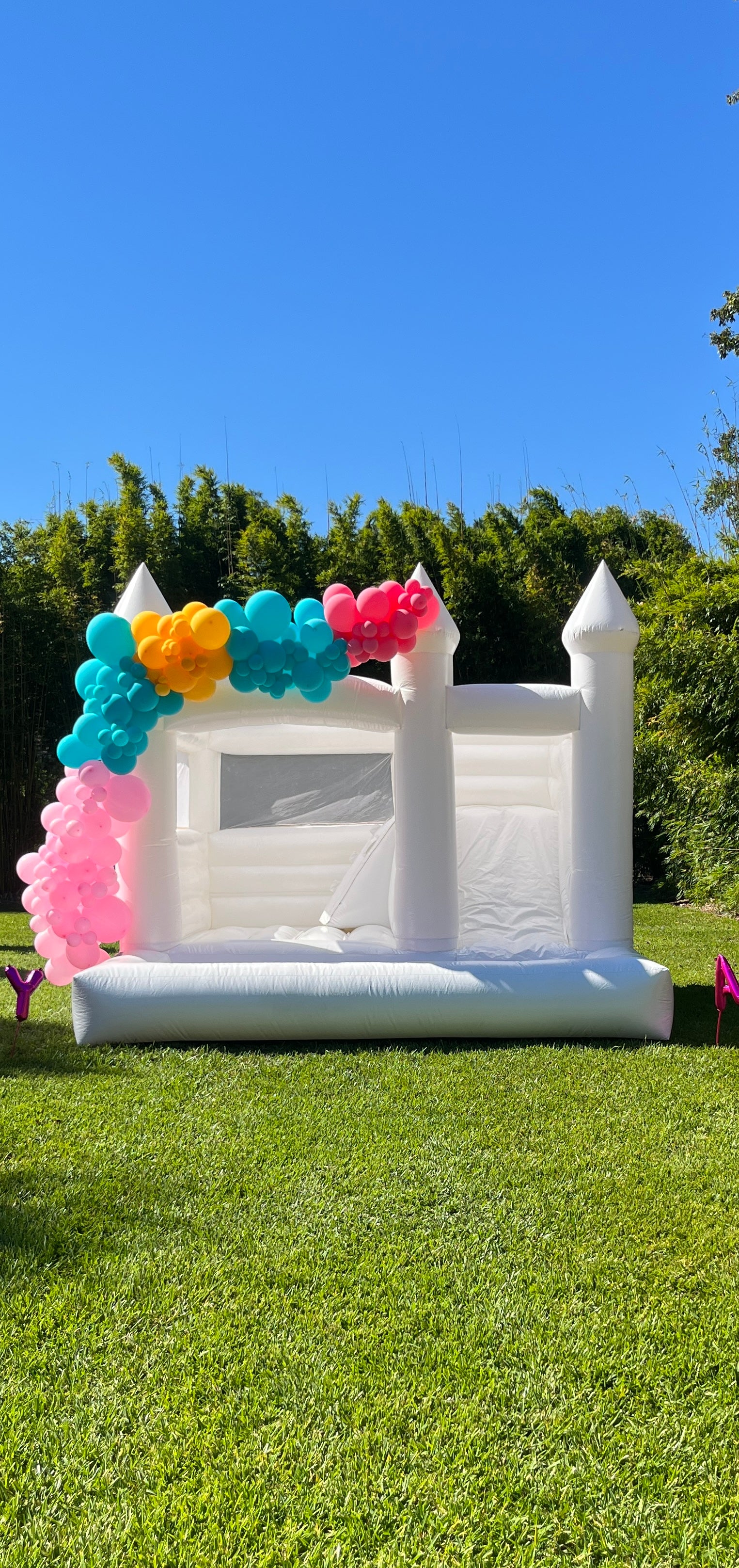 Balloon Garland