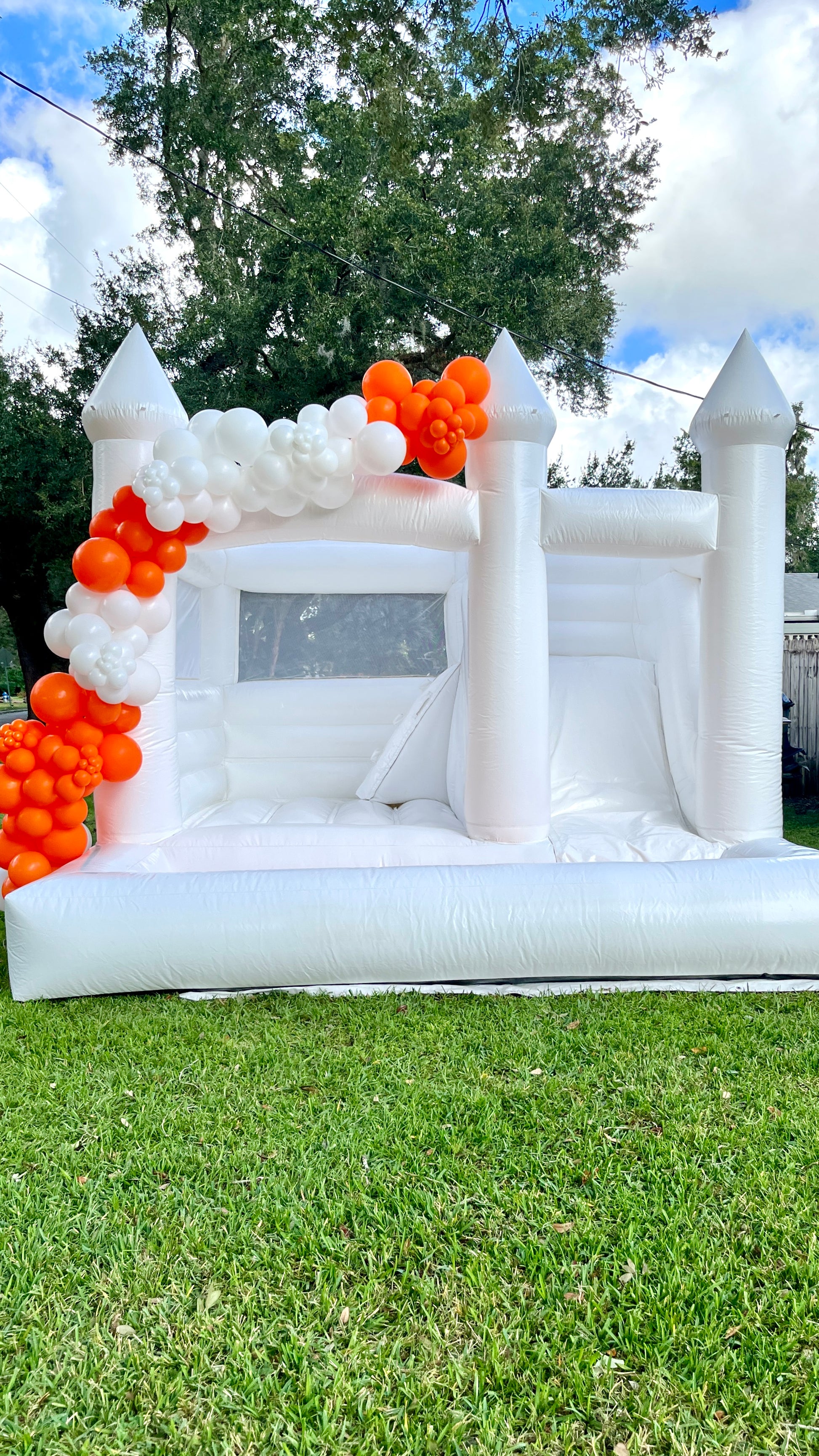 Santana & 12 Foot Balloon Garland
