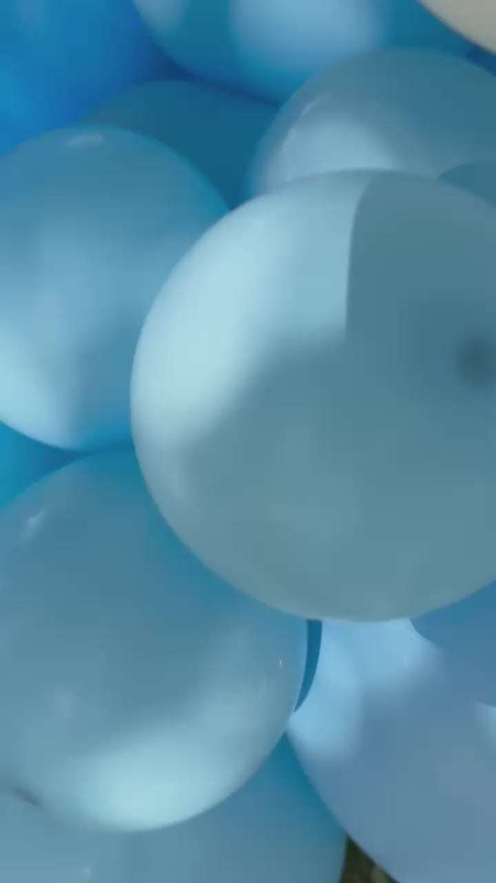 Santana Bounce House