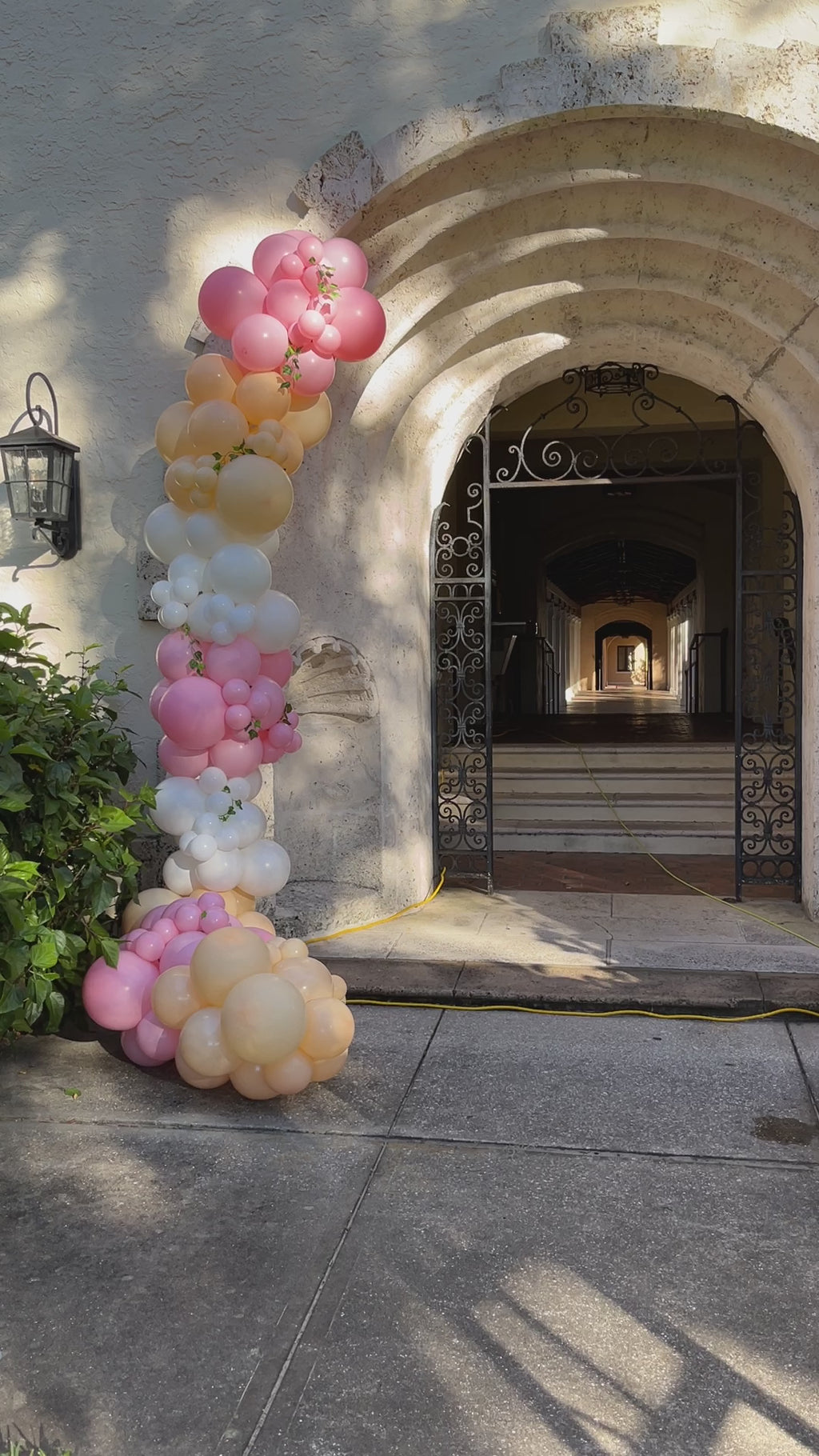 Balloon Garland