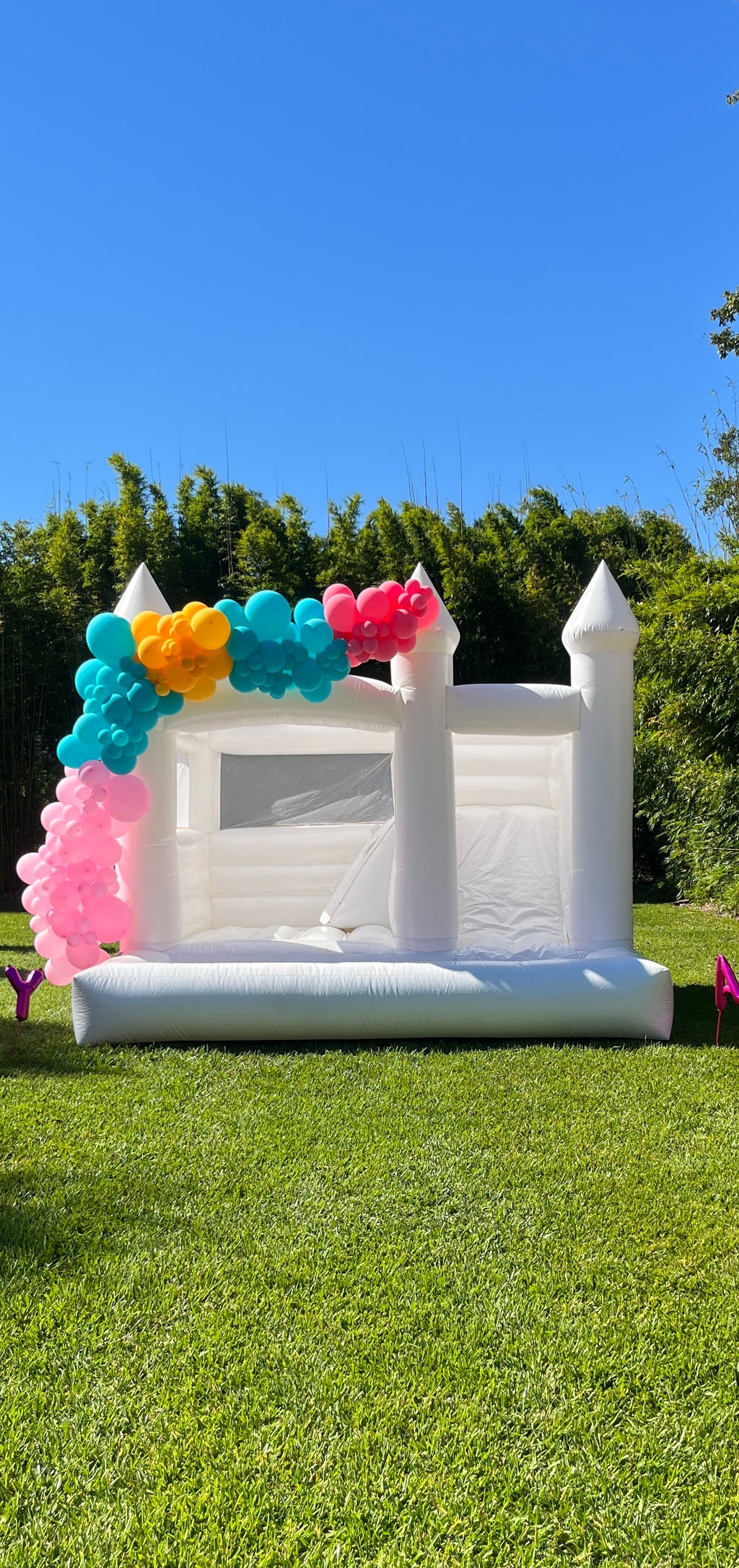 Balloon Garland