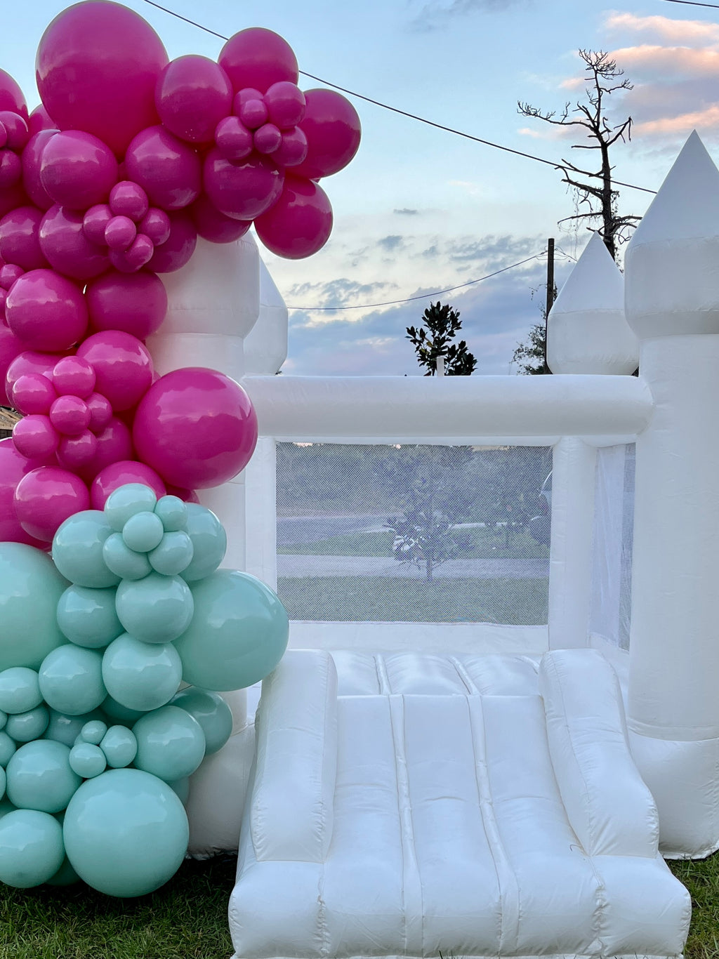 Balloon Garland