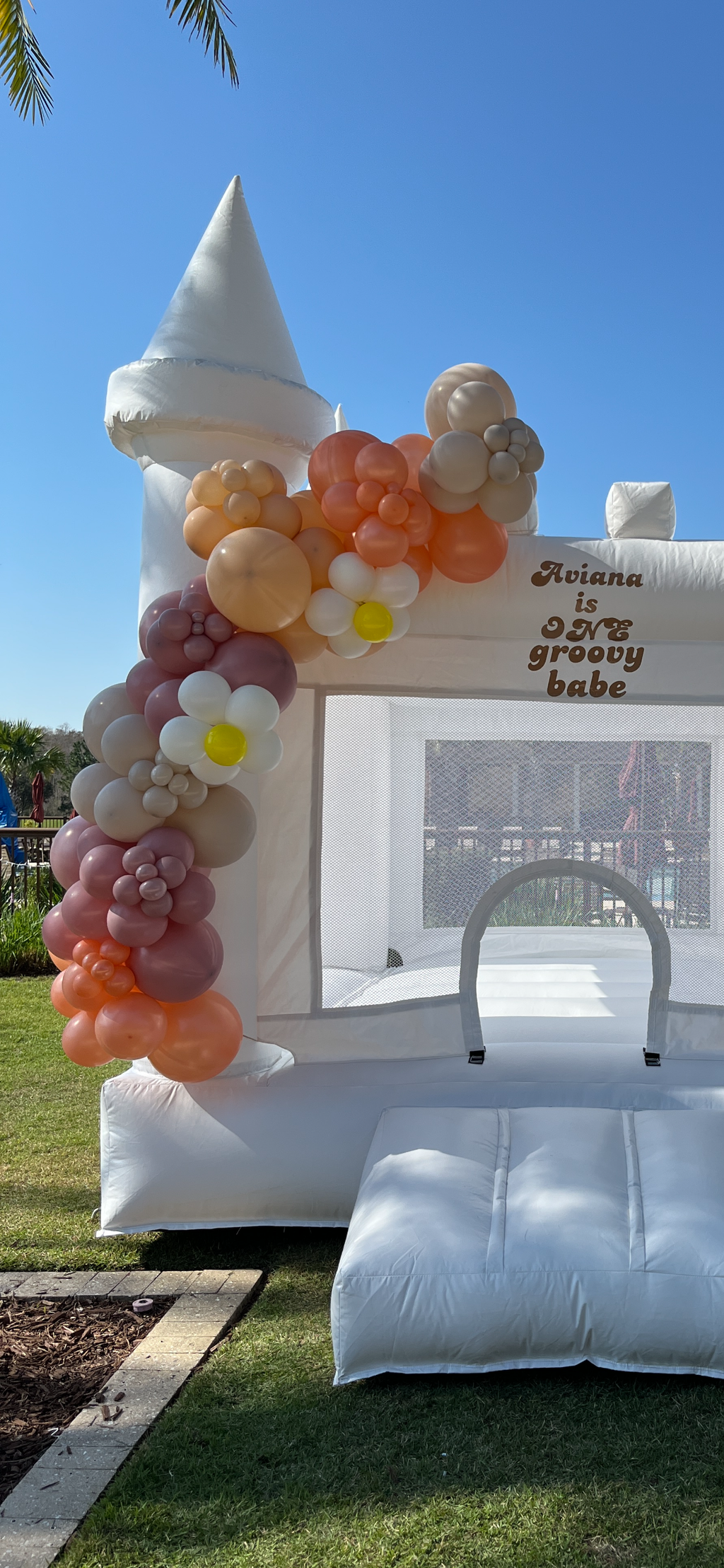 Carter Bounce House