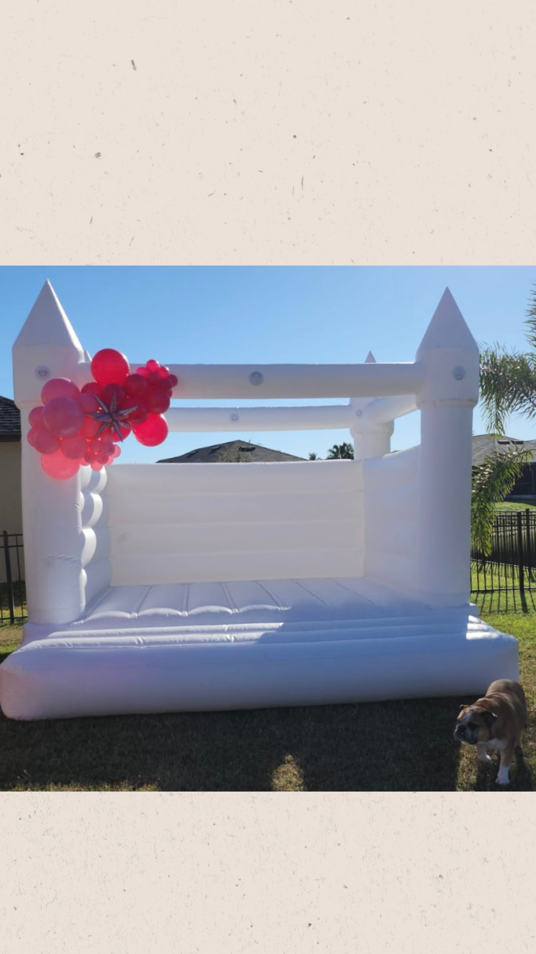 Rosa Bounce House